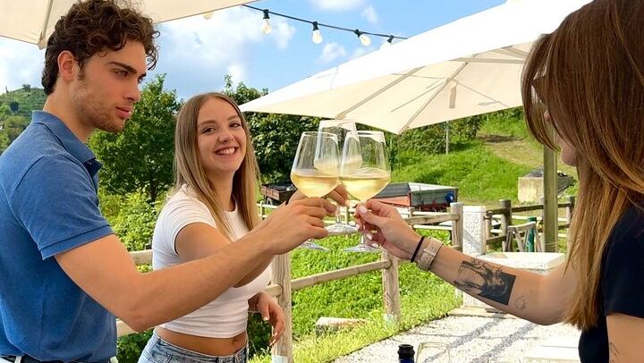Prosecco Hills Tour from Venice Piazzale Roma: Family Vineyard, Wine Shipping (2/10)