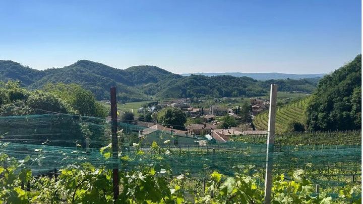 Prosecco Hills Tour from Venice Piazzale Roma: Family Vineyard, Wine Shipping (1/10)