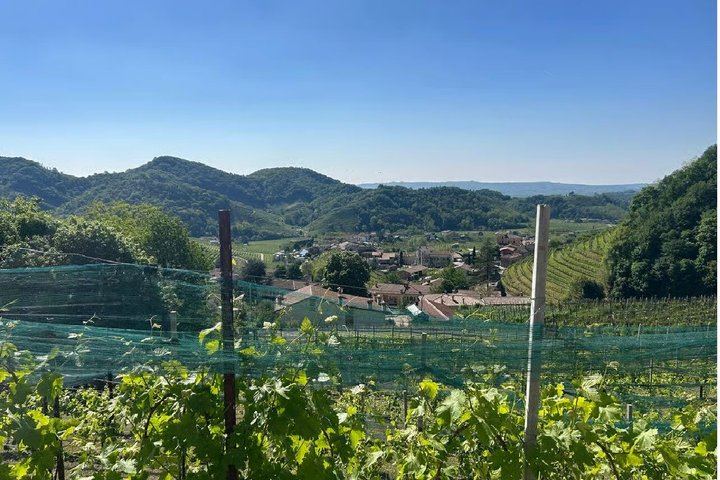 Prosecco Hills Tour from Venice Piazzale Roma: Family Vineyard, Wine Shipping (1/10)