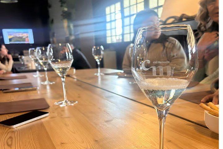 Prosecco Hills Tour from Venice Piazzale Roma: Family Vineyard, Wine Shipping (9/10)
