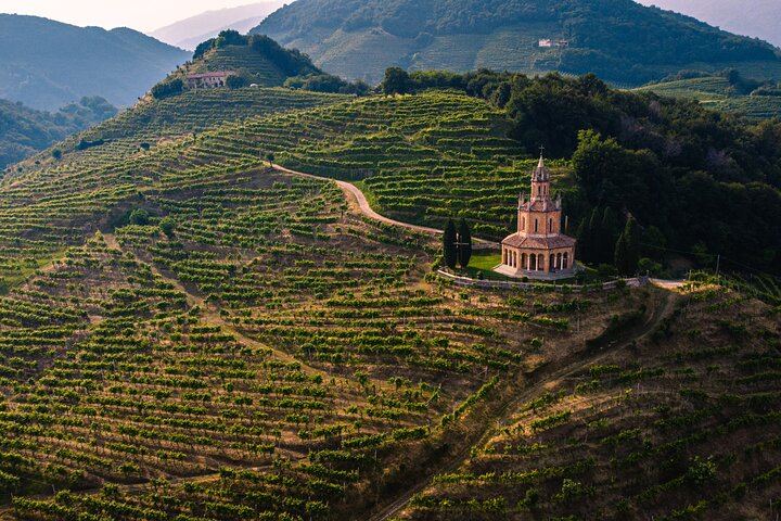 Prosecco Hills Tour from Venice Piazzale Roma: Family Vineyard, Wine Shipping (7/10)