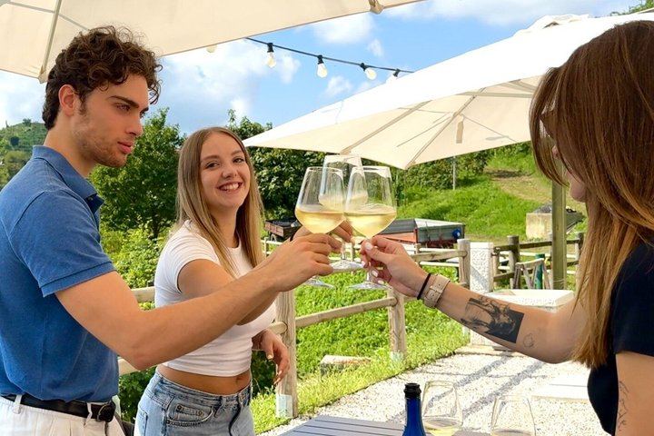Prosecco Hills Tour from Venice Piazzale Roma: Family Vineyard, Wine Shipping (10/10)