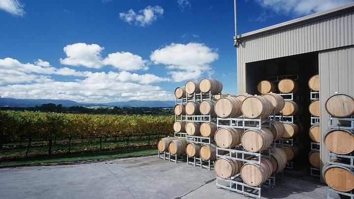 Private Tailored Yarra Valley Wine Day: Pay-Per-Tasting Wineries and Chocolaterie (4/9)