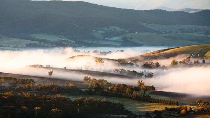Private Tailored Yarra Valley Wine Day: Pay-Per-Tasting Wineries and Chocolaterie (2/9)