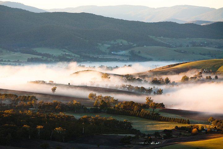 Private Tailored Yarra Valley Wine Day: Pay-Per-Tasting Wineries and Chocolaterie (2/9)