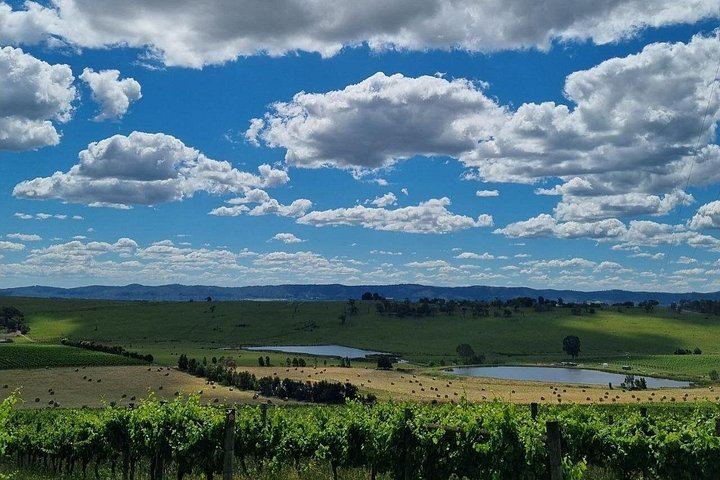 Private Tailored Yarra Valley Wine Day: Pay-Per-Tasting Wineries and Chocolaterie (6/9)