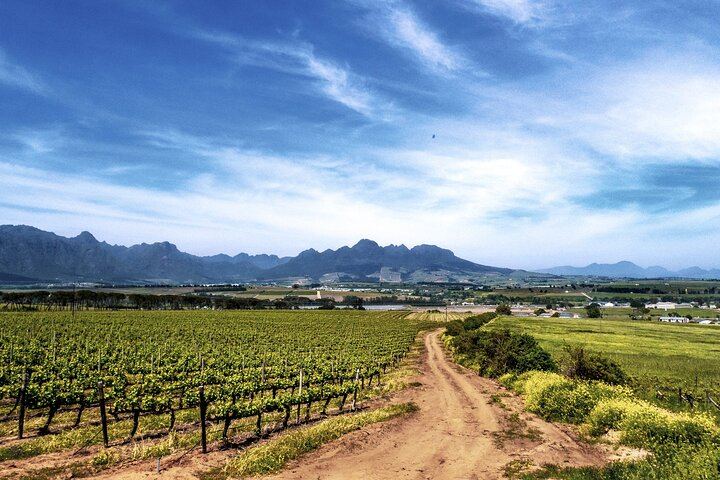 Stellenbosch Luxury E-Bike Winelands Tour with Premium Tastings and Lunch (5/5)