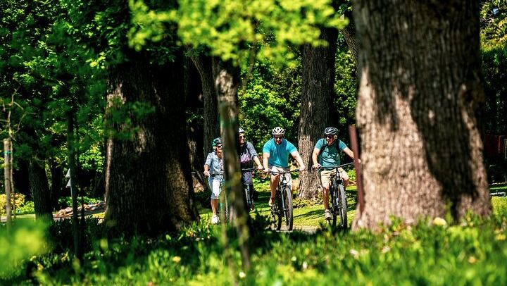 Stellenbosch Luxury E-Bike Winelands Tour with Premium Tastings and Lunch (2/5)
