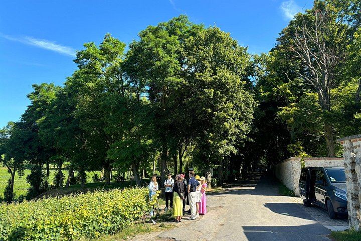 Full-Day Champagne Tour: Mumm Cellars in Reims, Winery Lunch, Hautvillers, Family Grower (8/12)