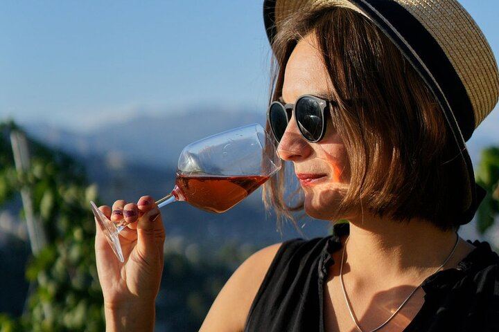 Nice Vineyard Visit and Winery Tour with Sommelier, 3 Options from Group to Private (11/12)