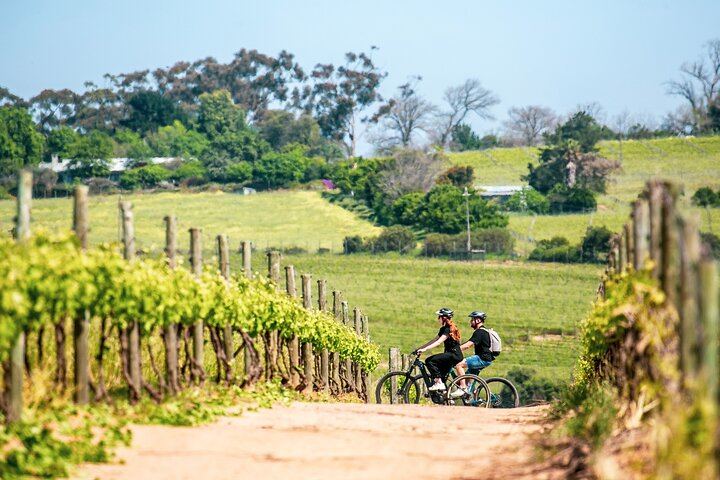 Stellenbosch Half-Day Mountain Bike Winelands Tour with Wine Tasting Stops (1/5)