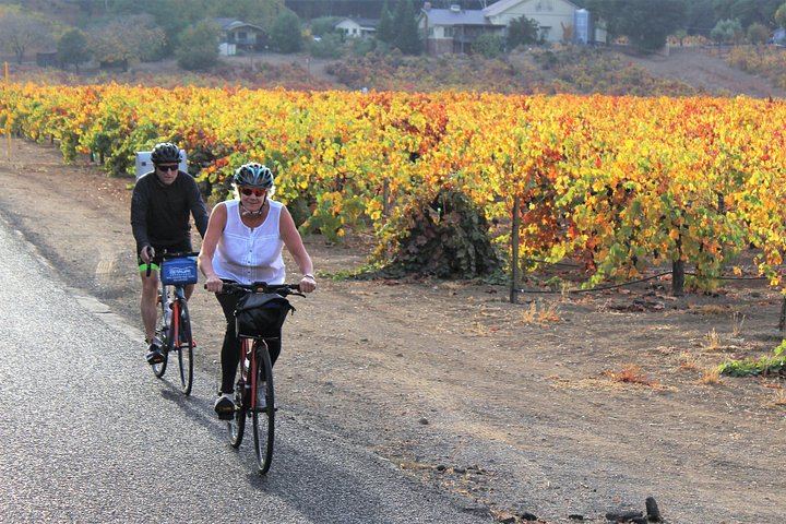 Healdsburg Dry Creek Valley Bike Tour: Three Wineries and Picnic Lunch (5/9)