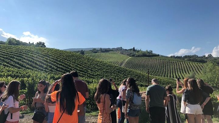 Afternoon Chianti Wine Tasting by Coach from Florence: 2 Family Wineries, Panoramic Views (4/7)