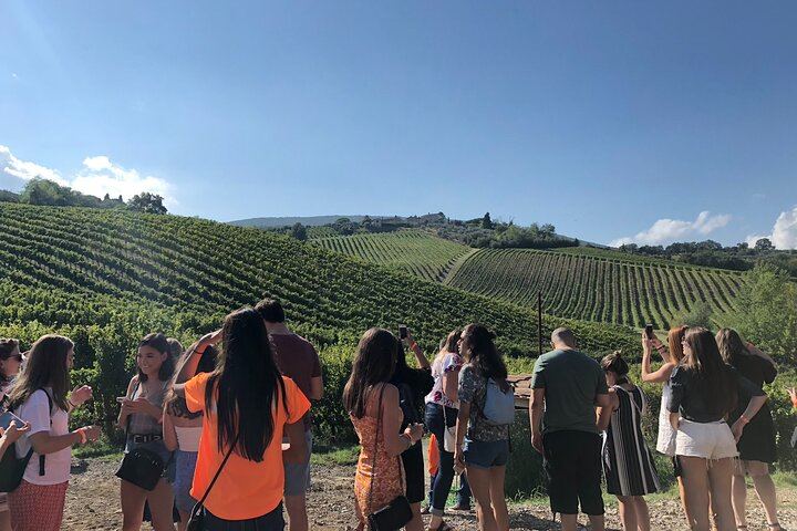 Afternoon Chianti Wine Tasting by Coach from Florence: 2 Family Wineries, Panoramic Views (4/7)