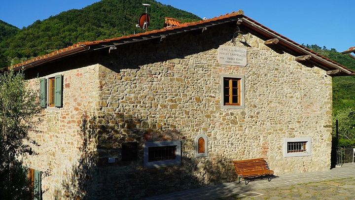 Organic and Biodynamic Wine, Olive Oil and Lunch Day in Chianti Classico, Max 8 Guests (2/12)