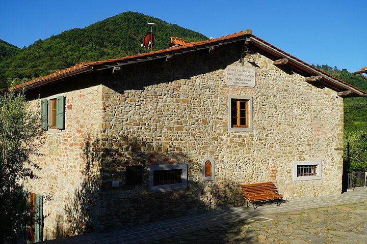 Organic and Biodynamic Wine, Olive Oil and Lunch Day in Chianti Classico, Max 8 Guests (2/12)