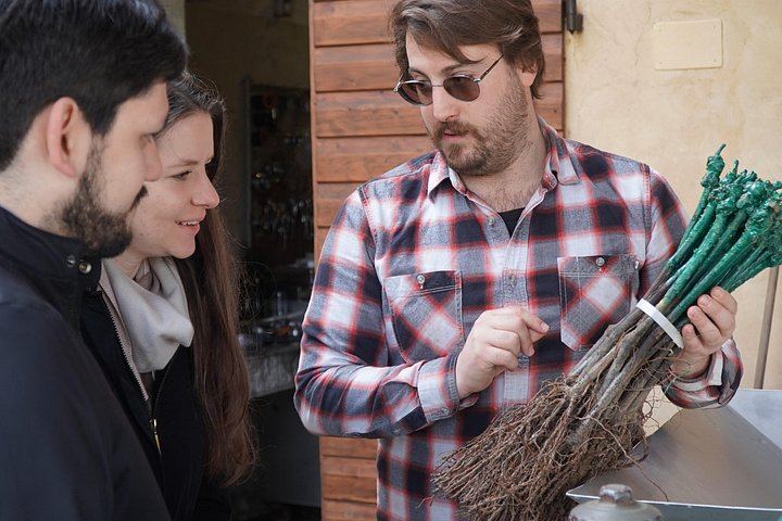 Organic and Biodynamic Wine, Olive Oil and Lunch Day in Chianti Classico, Max 8 Guests (5/12)