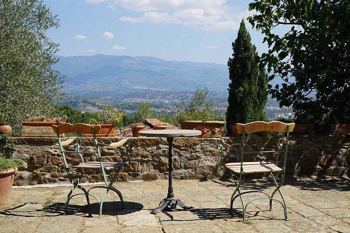 Organic and Biodynamic Wine, Olive Oil and Lunch Day in Chianti Classico, Max 8 Guests (11/12)