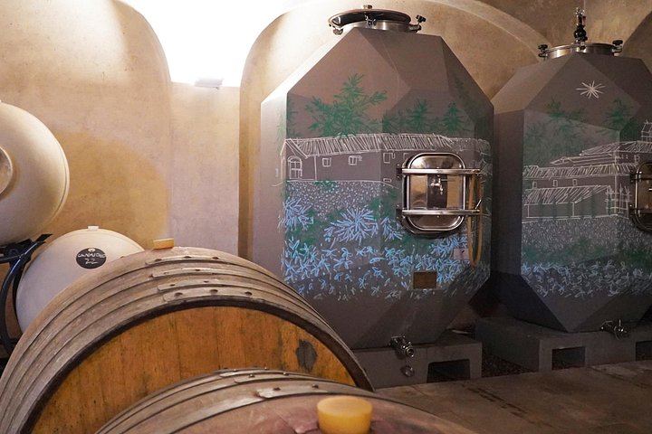 Organic and Biodynamic Wine, Olive Oil and Lunch Day in Chianti Classico, Max 8 Guests (7/12)