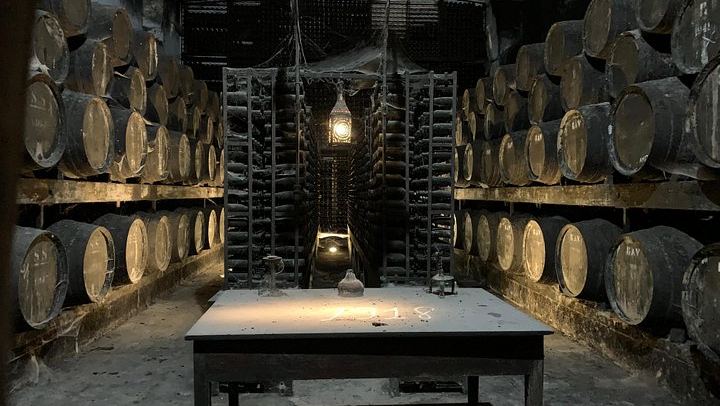 Setúbal Wine Tour 40 Minutes from Lisbon: Two Cellars and Moscatel Roxo Tasting (4/12)