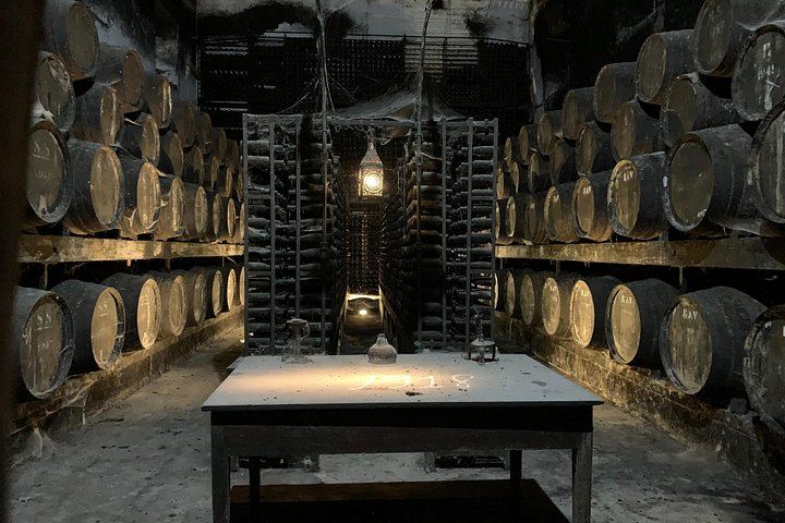 Setúbal Wine Tour 40 Minutes from Lisbon: Two Cellars and Moscatel Roxo Tasting (4/12)