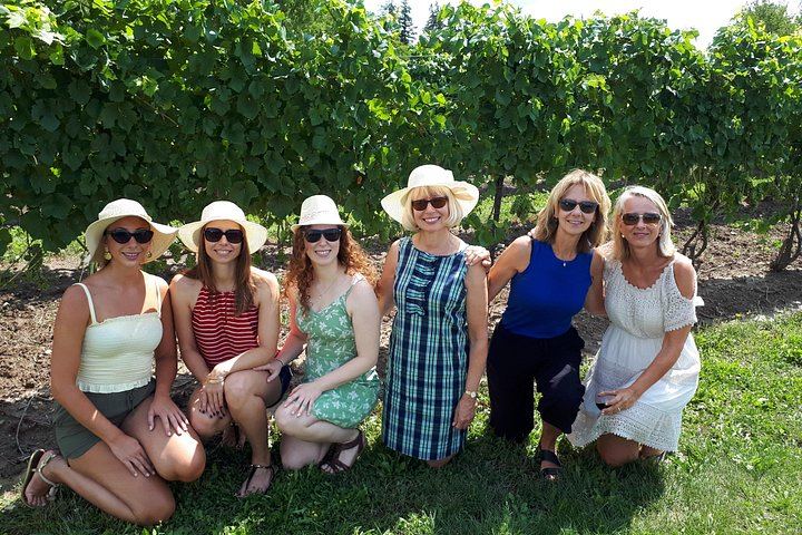 Niagara-on-the-Lake Afternoon Boutique Winery Tour with Cheese Pairing, Groups of 4-10 (2/11)