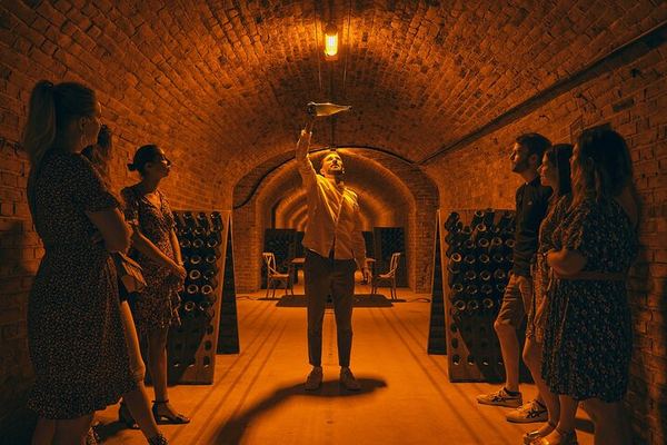 Small Group Champagne Day from Reims or Épernay Station: Estate Lunch, Champagne Pairing