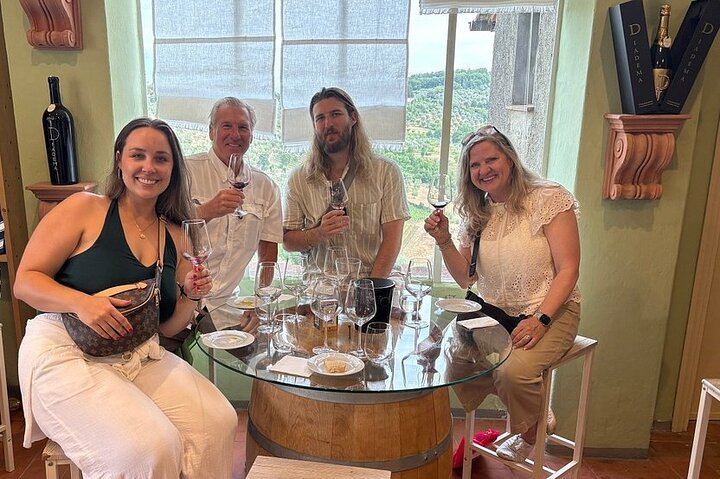 Diadema Super Tuscan Tasting in Impruneta: Winery Tour, Olive Mill and Olive Oil (6/12)