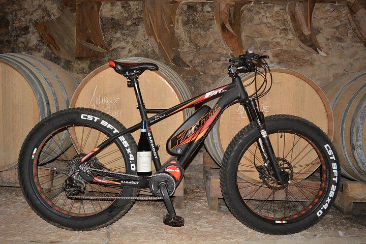 Valpolicella E-Bike Tour with Winemaker Nicola and Amarone Tasting, Santa Maria Valverde (8/12)