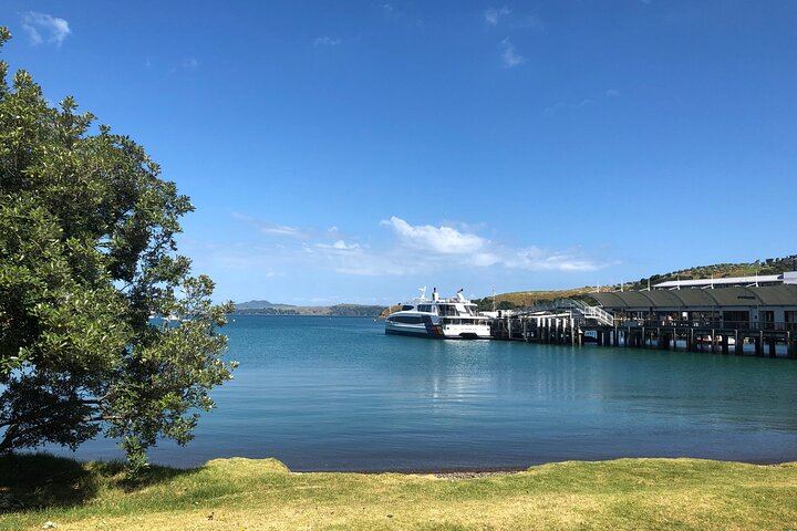 Waiheke Half-Day Scenic Wine Tour: Two Vineyards, Platter Lunch, 12pm Ferry (11/11)