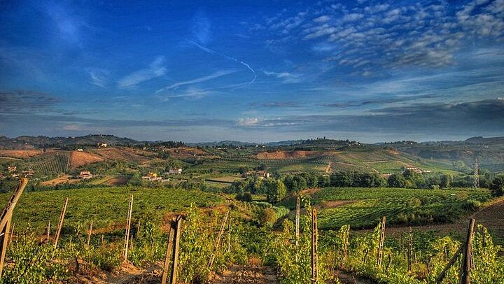 Private Day from Florence: Brunello in Montalcino and Vino Nobile in Montepulciano (4/12)