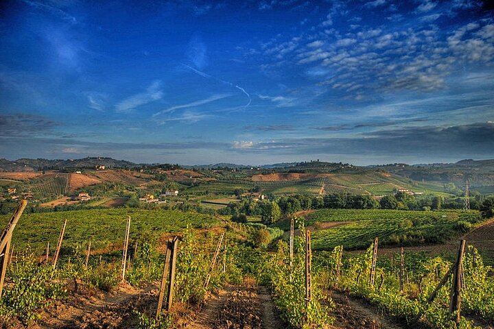 Private Day from Florence: Brunello in Montalcino and Vino Nobile in Montepulciano (4/12)