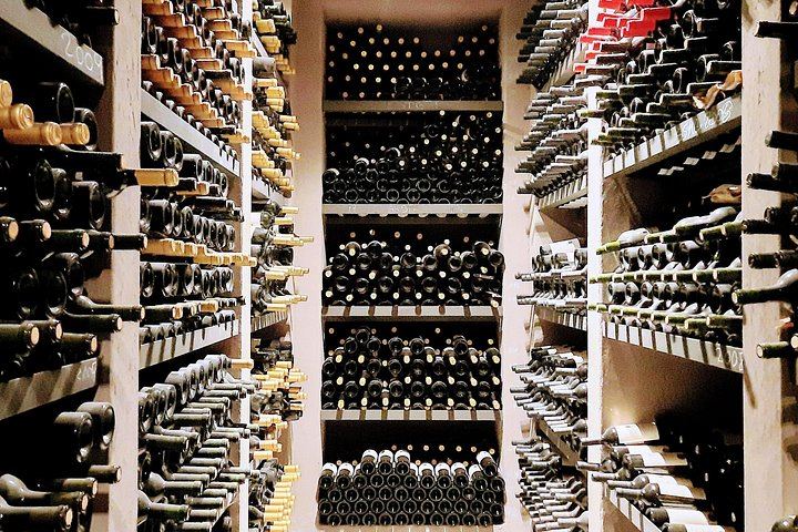 Private Uco Valley Wine Day with Driver: Bousquet, Salentein and Andean Lunch (10/12)