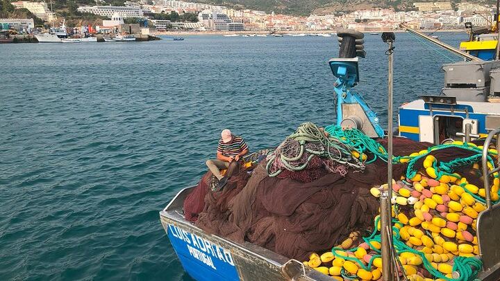 Private Half-Day Sesimbra Tour: Moorish Castle, Bacalhôa Wines and Hilltop Swing (1/12)