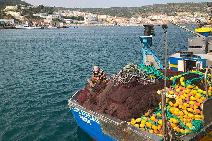 Private Half-Day Sesimbra Tour: Moorish Castle, Bacalhôa Wines and Hilltop Swing (1/12)