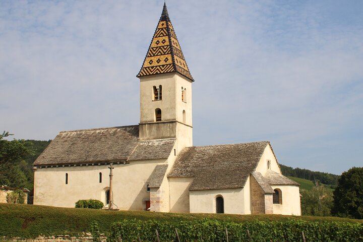 Private Côte d'Or Wine Tasting Tour Between Dijon and Beaune with Pickup (8/12)