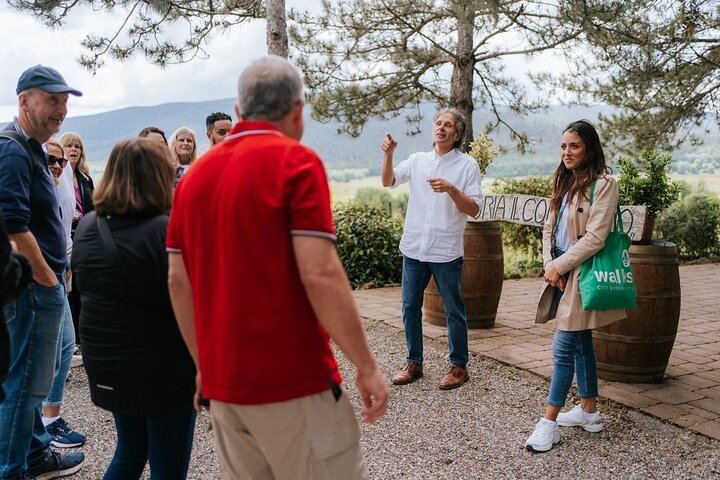 WalksDevour Small-Group Tuscany Day Trip: Chianti Farm Lunch, San Gimignano and Siena (1/12)