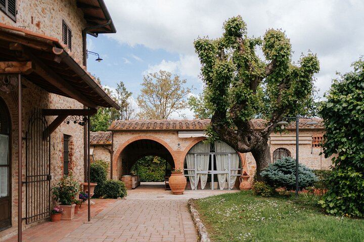 WalksDevour Small-Group Tuscany Day Trip: Chianti Farm Lunch, San Gimignano and Siena (12/12)