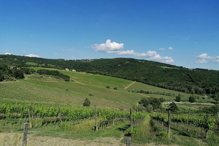 4-Hour Vintage Fiat 500 Chauffeured Tour from Florence: Chianti Views and Lunch (6/12)
