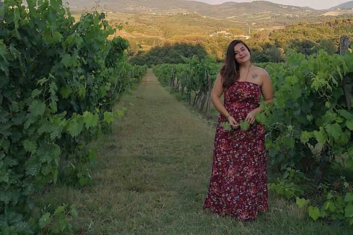 4-Hour Vintage Fiat 500 Chauffeured Tour from Florence: Chianti Views and Lunch (8/12)