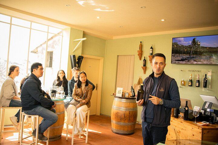 Fiat Topolino Electric Car Drive from Florence into Chianti with Winery and Meal (12/12)