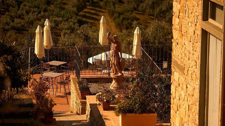 Florence to Chianti with Towns of Italy: 3 Wineries, Olive Oil Mill and 3-Course Lunch (4/12)
