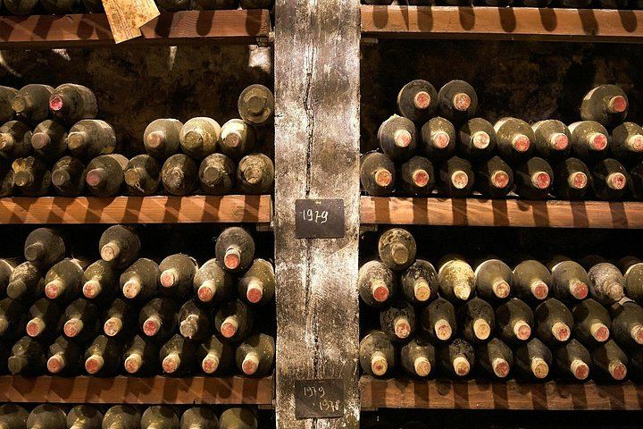Florence to Chianti with Towns of Italy: 3 Wineries, Olive Oil Mill and 3-Course Lunch (6/12)