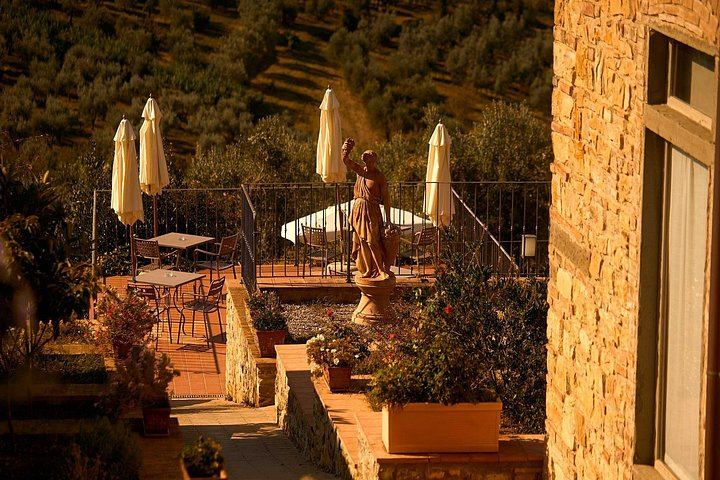 Florence to Chianti with Towns of Italy: 3 Wineries, Olive Oil Mill and 3-Course Lunch (4/12)
