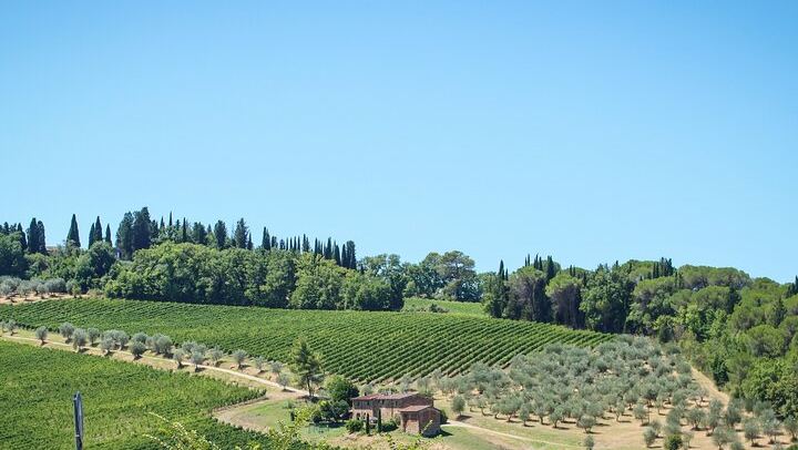 Chianti Half-Day Minivan Tour from Florence: Two Wineries, Village, Piazzale Michelangelo (1/12)
