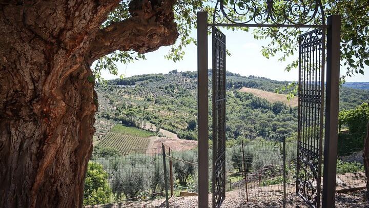 Chianti Half-Day Minivan Tour from Florence: Two Wineries, Village, Piazzale Michelangelo (3/12)