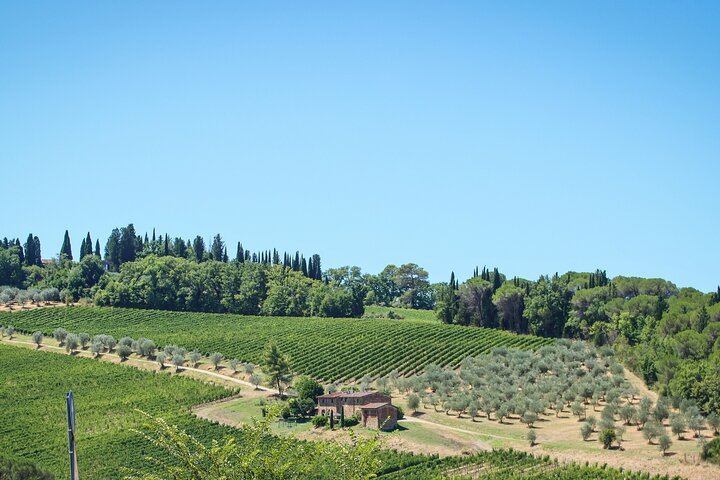Chianti Half-Day Minivan Tour from Florence: Two Wineries, Village, Piazzale Michelangelo (1/12)