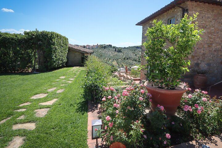 Chianti Half-Day Minivan Tour from Florence: Two Wineries, Village, Piazzale Michelangelo (11/12)