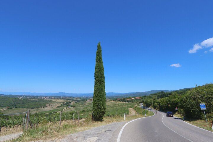 Chianti Half-Day Minivan Tour from Florence: Two Wineries, Village, Piazzale Michelangelo (5/12)