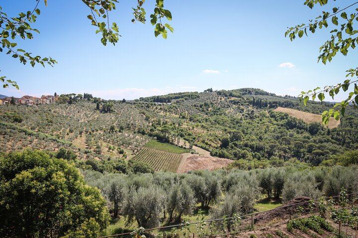 Chianti Half-Day Minivan Tour from Florence: Two Wineries, Village, Piazzale Michelangelo (8/12)